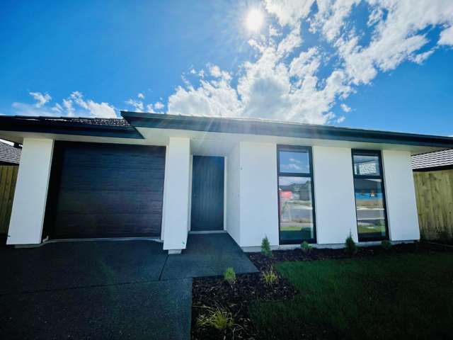 50 Pitcaithly Street 1447_1