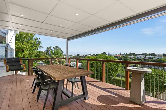 1 Roslyn Road Bluff Hill_4