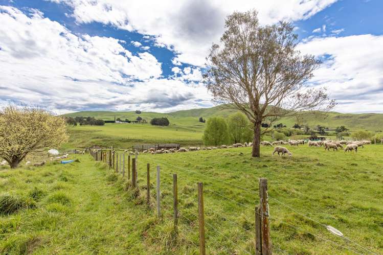 425 Te Kura Road Otane_35