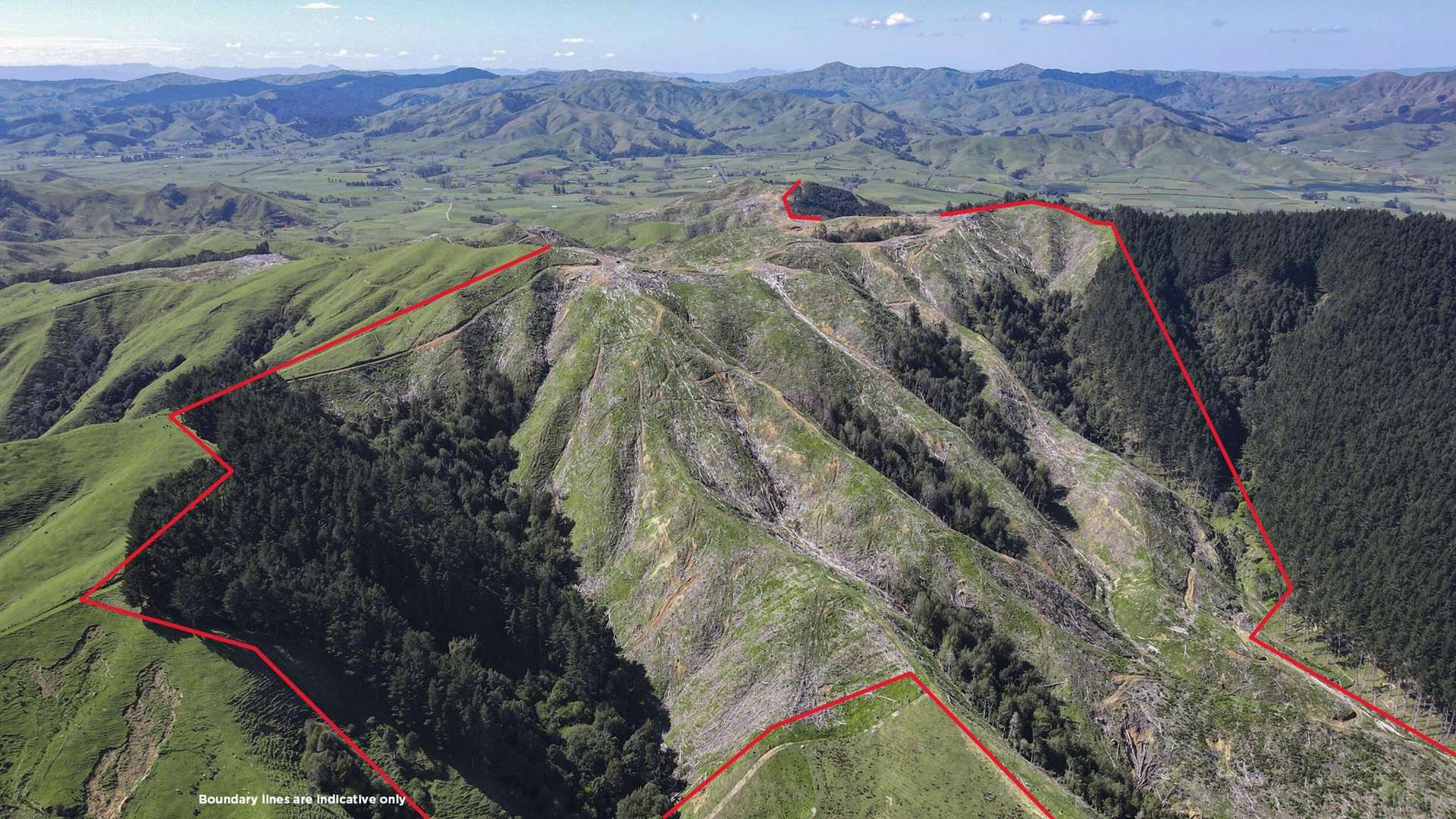 812 Waiterimu Road and Rawson Road Waerenga_0