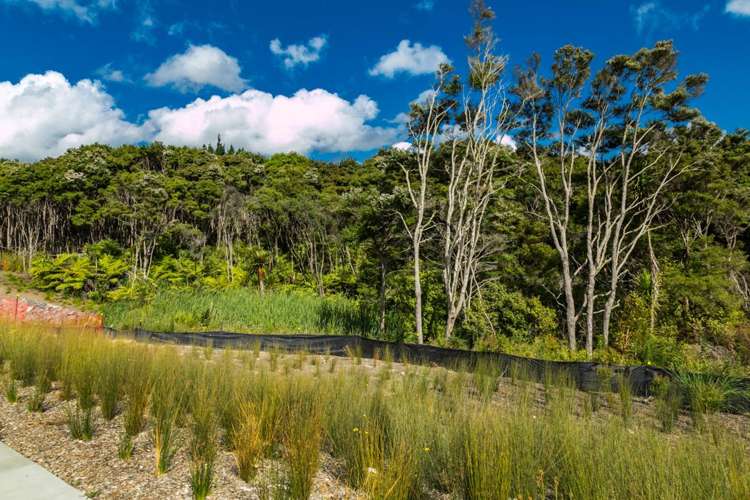 5 Bight Road Long Bay_13