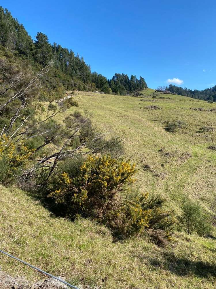 Lot 8, 3327 Tairua Road Tairua_2