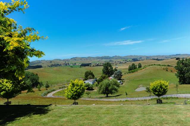 2363 Puketitiri Road Central Hawkes Bay Coastal_3