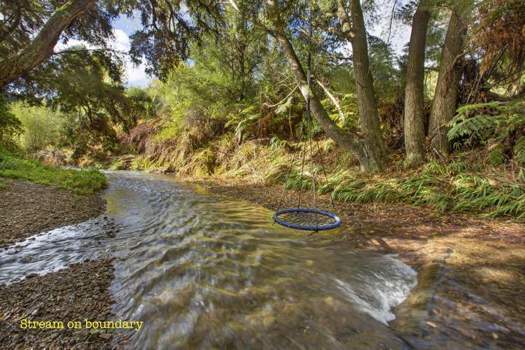 1068a Old Mountain Road Raglan_39