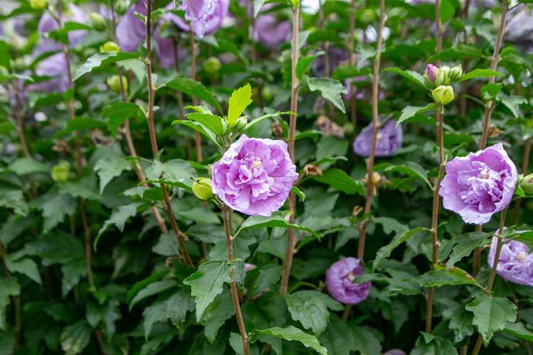 20a Essex Street Masterton_16