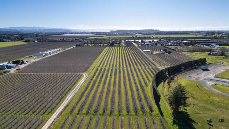 20 Parsons Road Meeanee_12