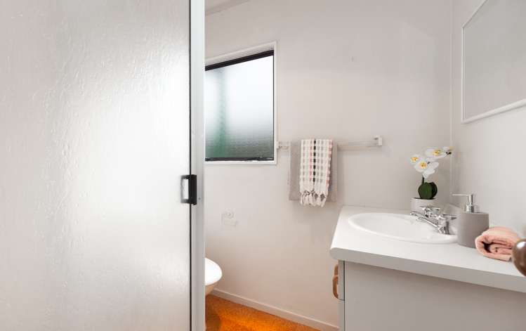 16a Goodwin Avenue Springfield_10