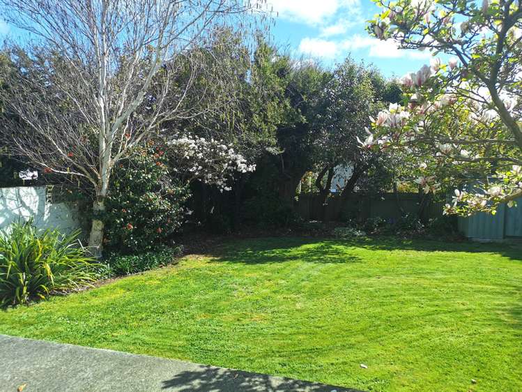 30 Helmsdale Street Waverley_11