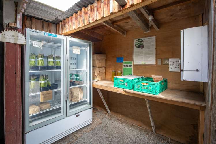 1905 Christchurch Akaroa Road Motukarara_21