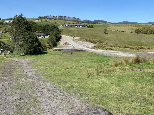 Magnificent Views on Okahu Downs Drive