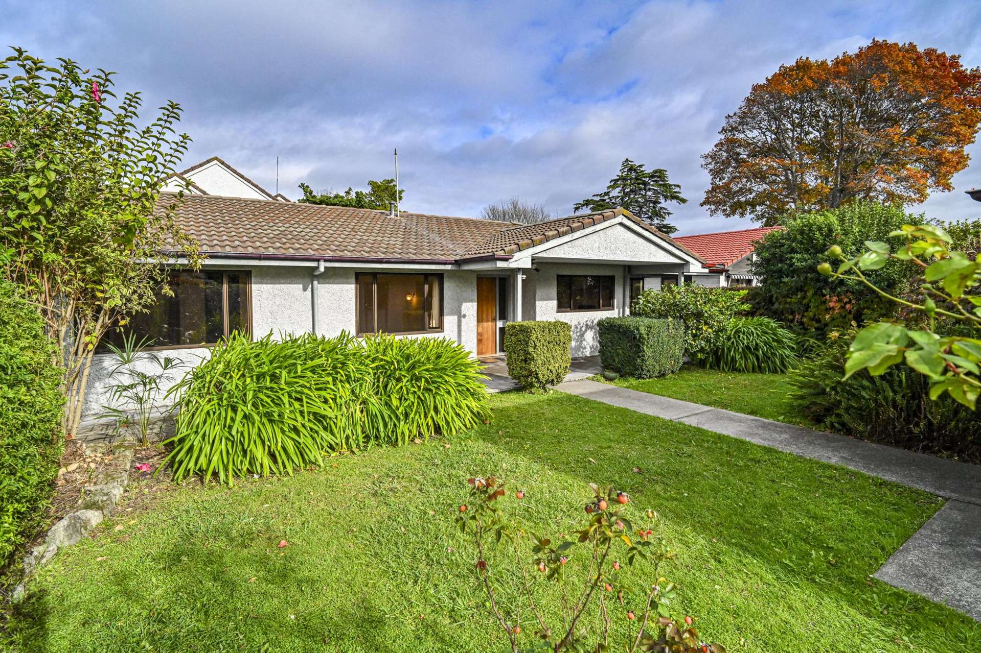 507a Fitzroy Avenue Hastings_0