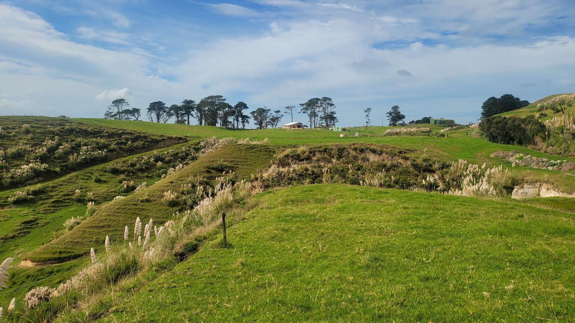 240 Pinaki Road Te Kopuru_0