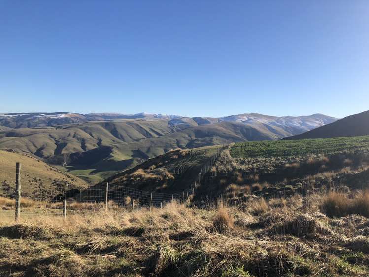 901 Wilden Runs Road West Otago Surrounds_16