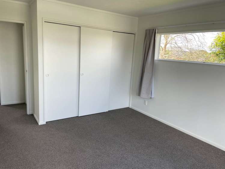 39 Palomino Drive Henderson_18