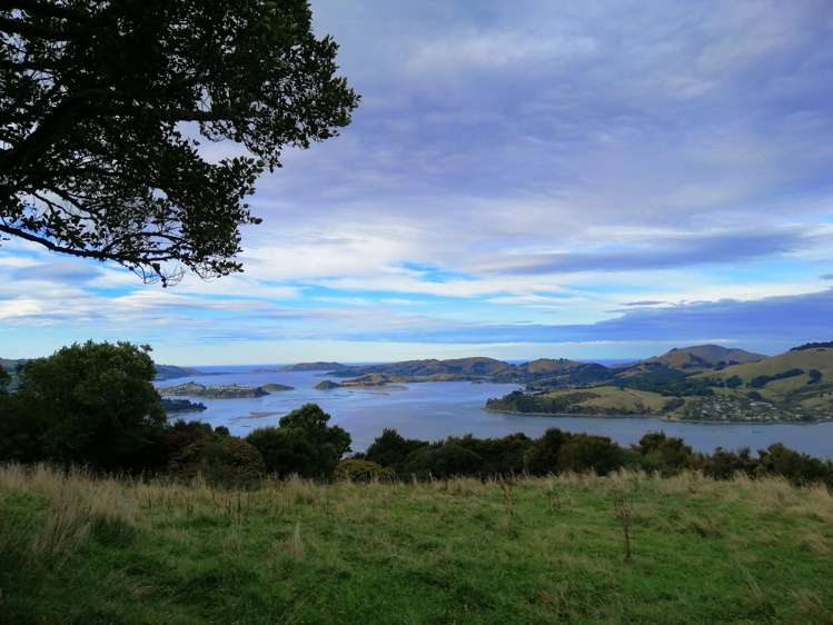 66 Kakapo Street Saint Leonards_1