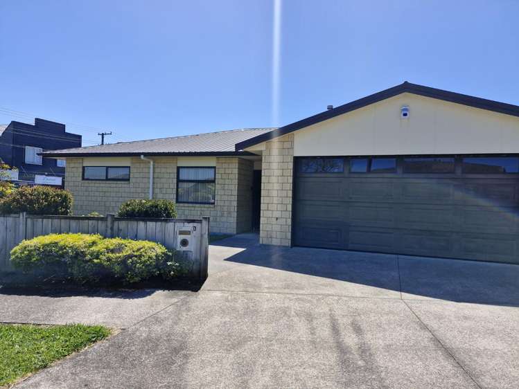 1 Holsworthy Road Vogeltown_11