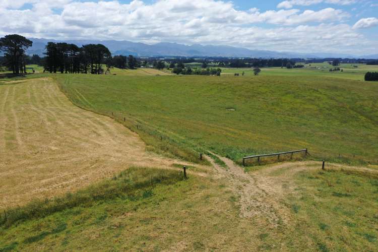 83 Norsewood Ormondville Road Norsewood_17