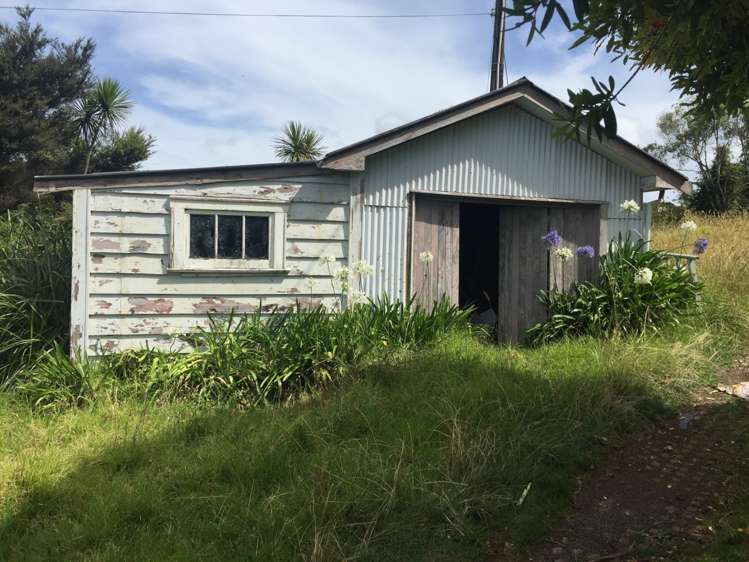 115 Cornwallis Road Cornwallis_5