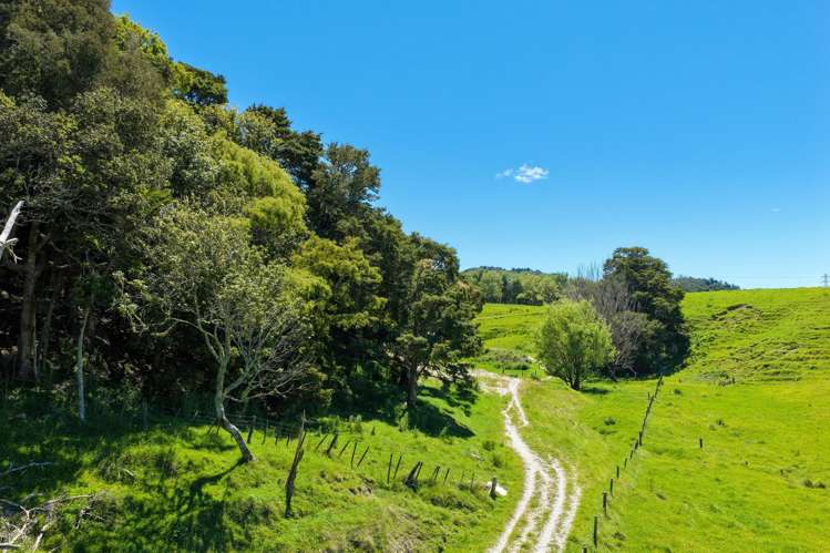 103 Mountain Road Kaiwaka_12