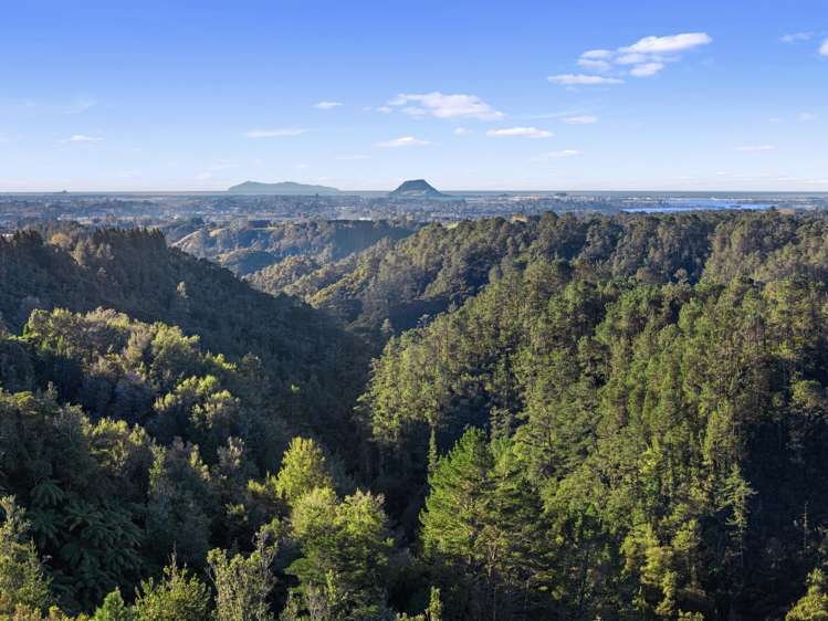 790 Belk Road Kaimai_30