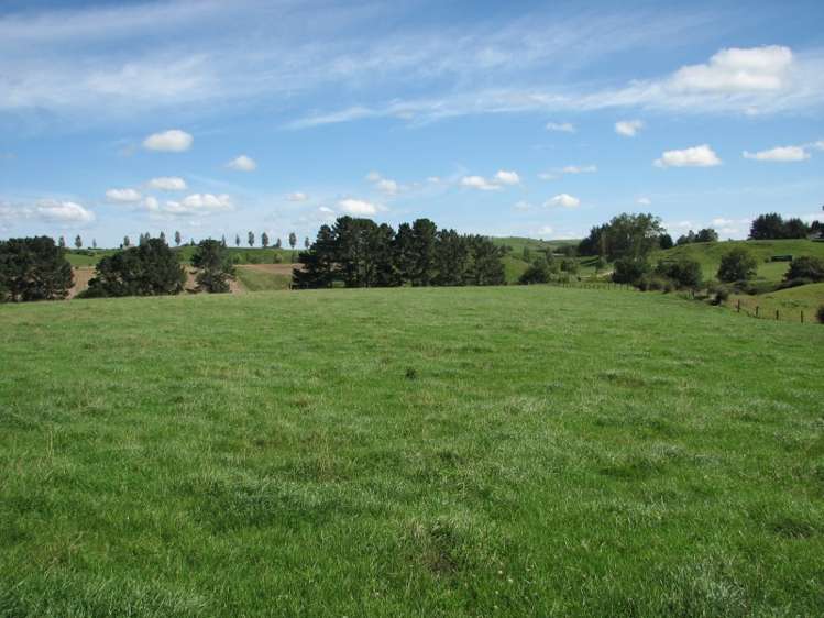 205 Gunn Road Waharoa_8