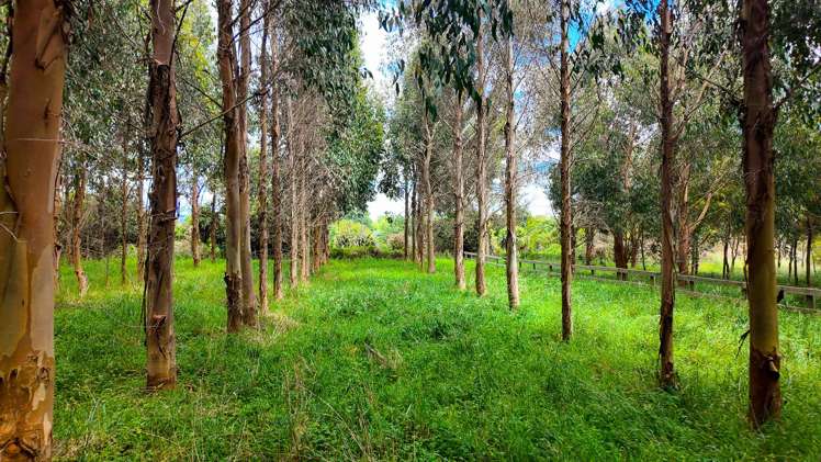 25 Cookson Road Tikitere_36