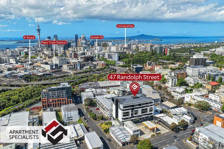 47 Randolph Street Eden Terrace_21