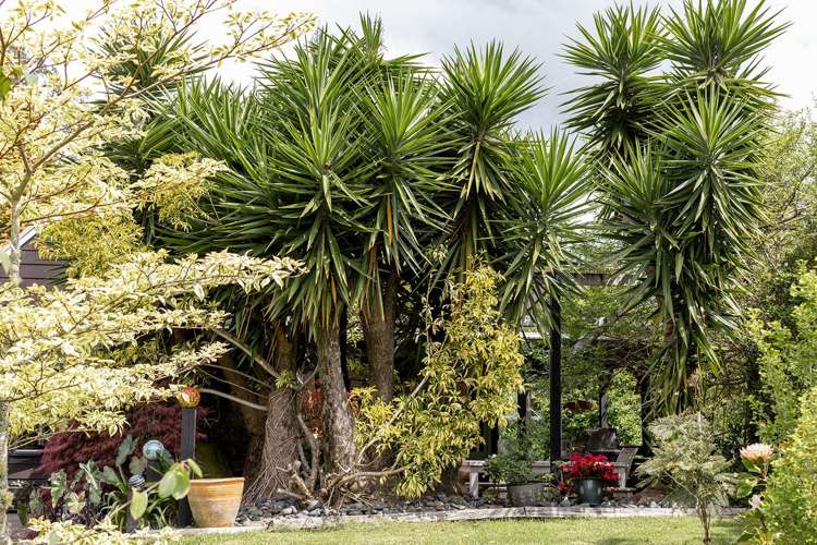 2415 Tairua Road SH 25 Hikuai_25