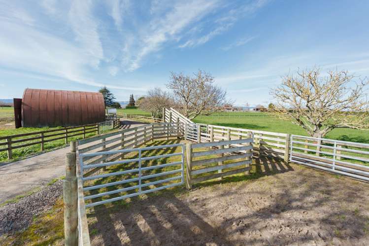 1 Gunn Road Matamata_13