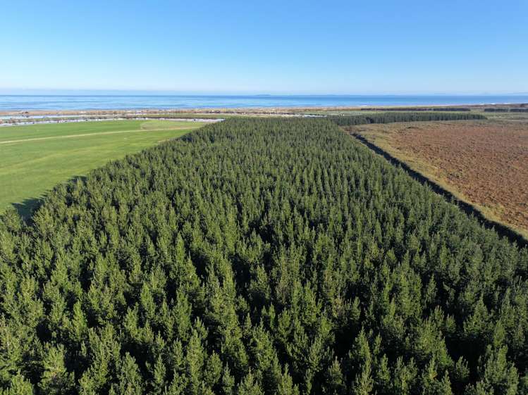820 Holz Road Gorge Road_11