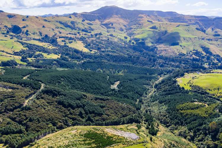 226 Middle Road Pigeon Bay_28