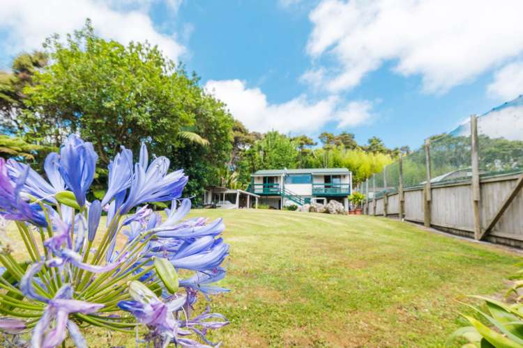 132 Foley Quarry Road Dairy Flat_16