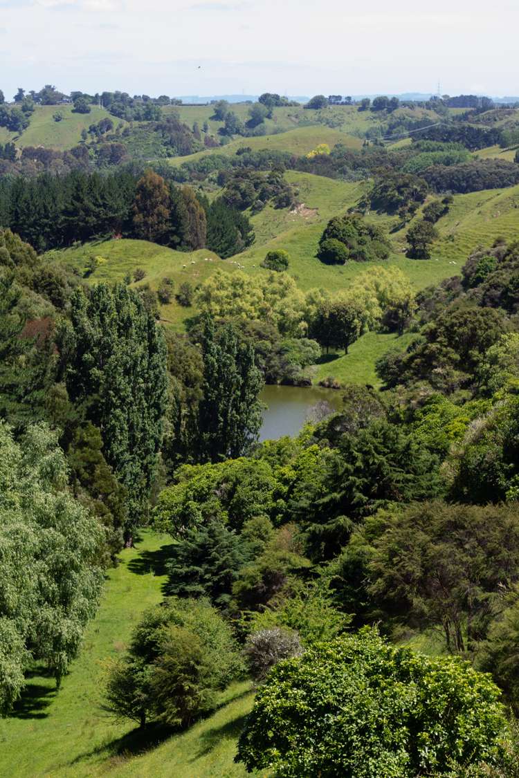 261a Roberts Avenue Aramoho_6