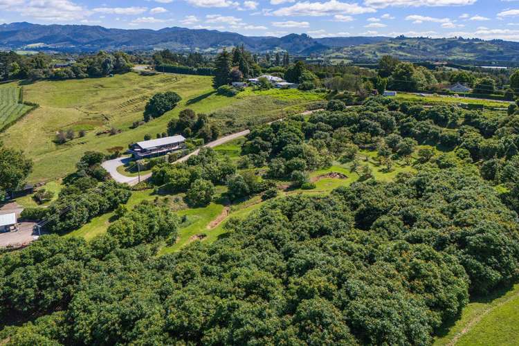 252A Kauri Point Road Katikati_27