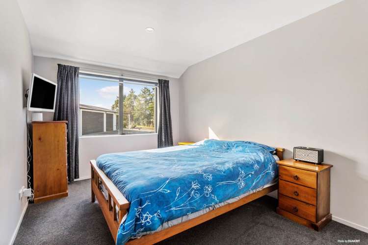 291 Horseshoe Bush Road Dairy Flat_11