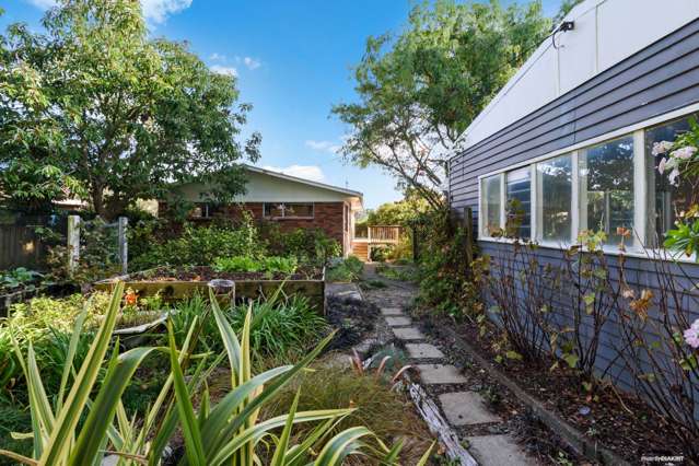 30 Dominion Road Tuakau_3