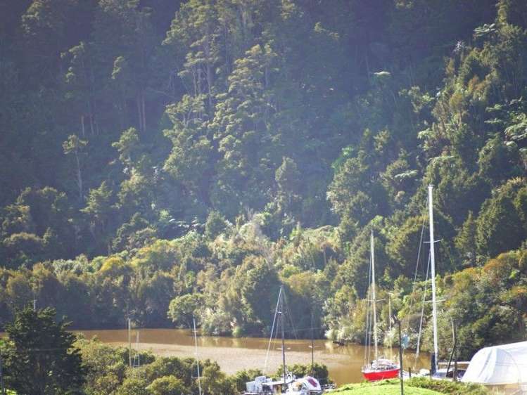 25 Jade River Place Warkworth_11