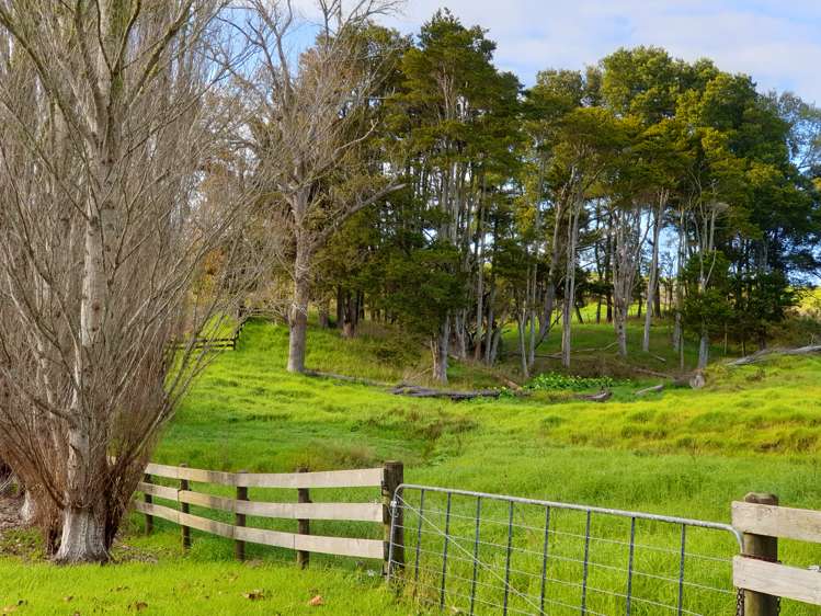 42 Jumna Road Maungaturoto_2