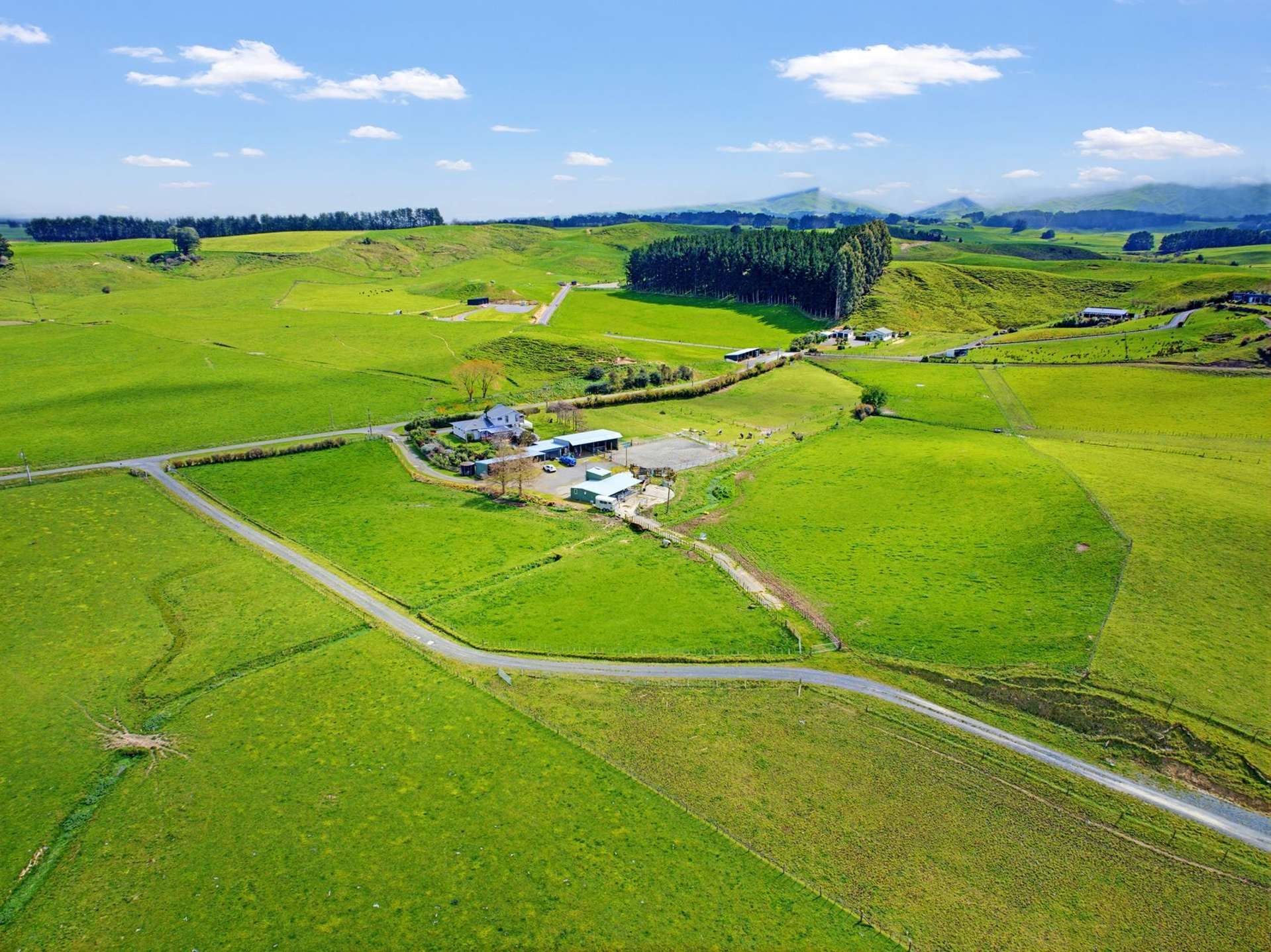 94 & 110 Glengarry Road Dannevirke_0