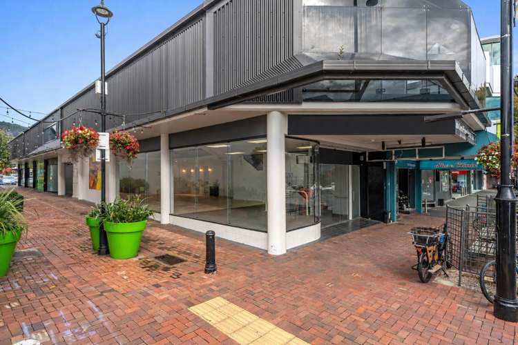86 Bridge Street Nelson_26