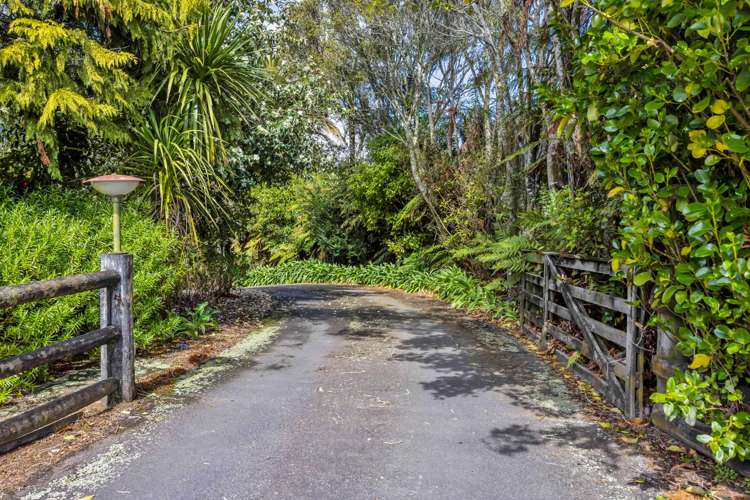 88b Rewa Street Inglewood_32