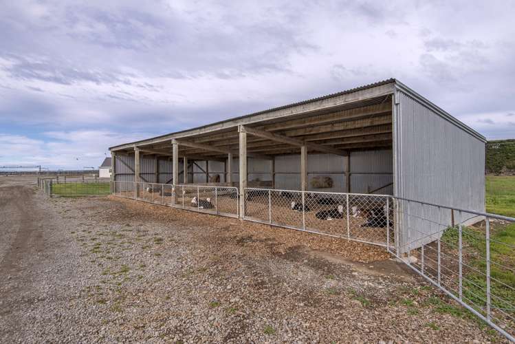 897 Buckleys Road Wakanui_20