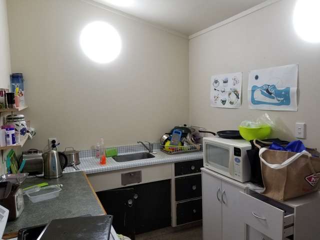 142 Albany Street North Dunedin_2