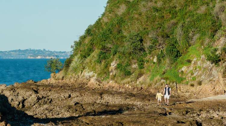 40 Rothschild Terrace Waiheke Island_11