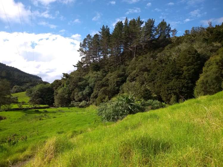 1708 Russell Road Hukerenui and Surrounds_14