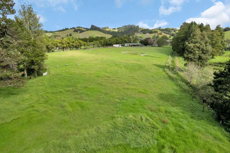 137 Harris Road Glenbervie_40