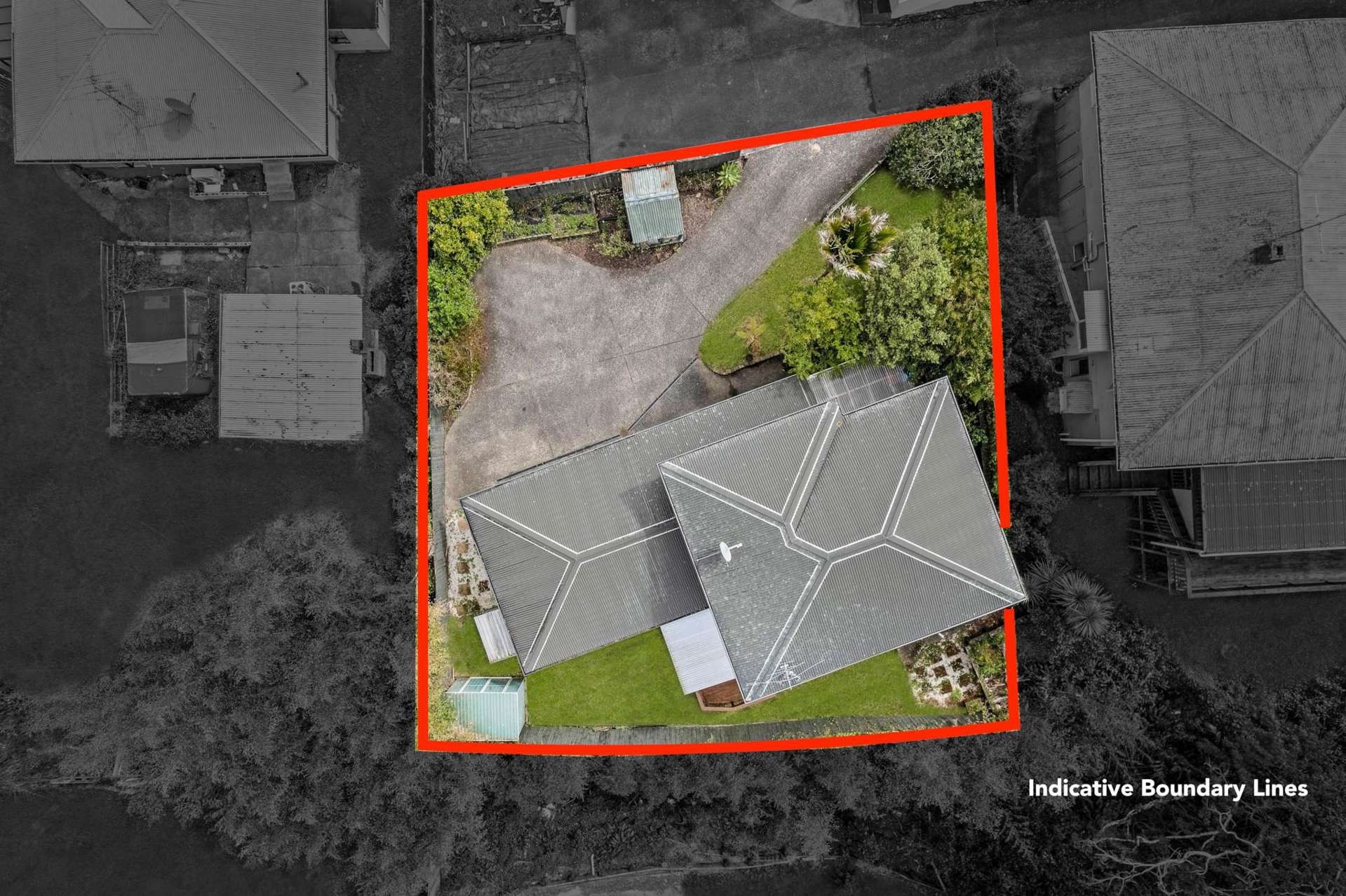 61B Tiverton Road Avondale_0