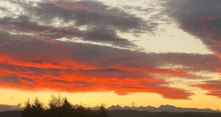 86 Totara View Road Wakefield_29