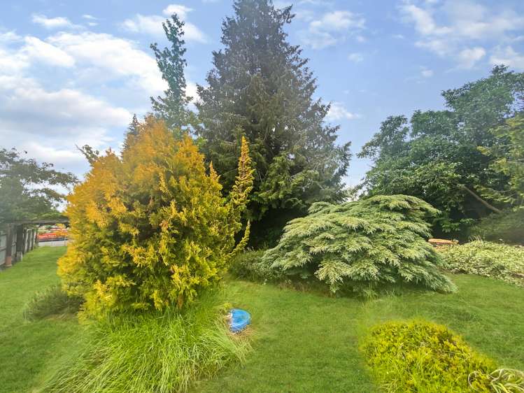 55 Rata Road Twizel_8