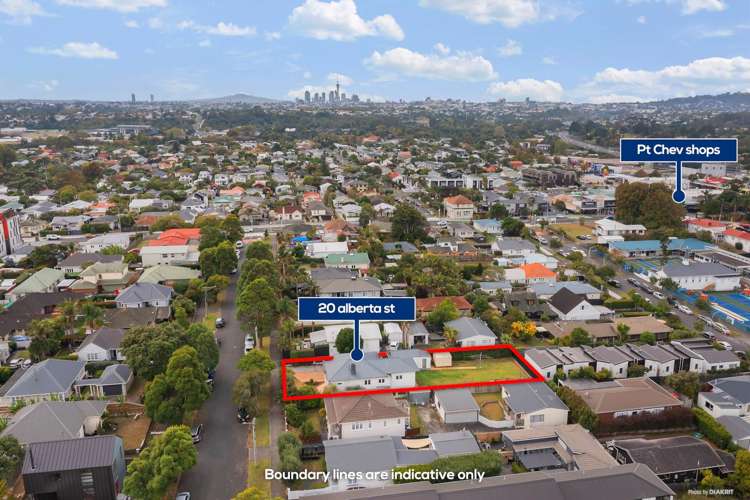 20 Alberta Street Point Chevalier_18